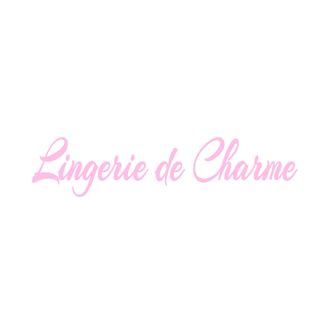 LINGERIE DE CHARME SAINT-OUEN-SUR-LOIRE